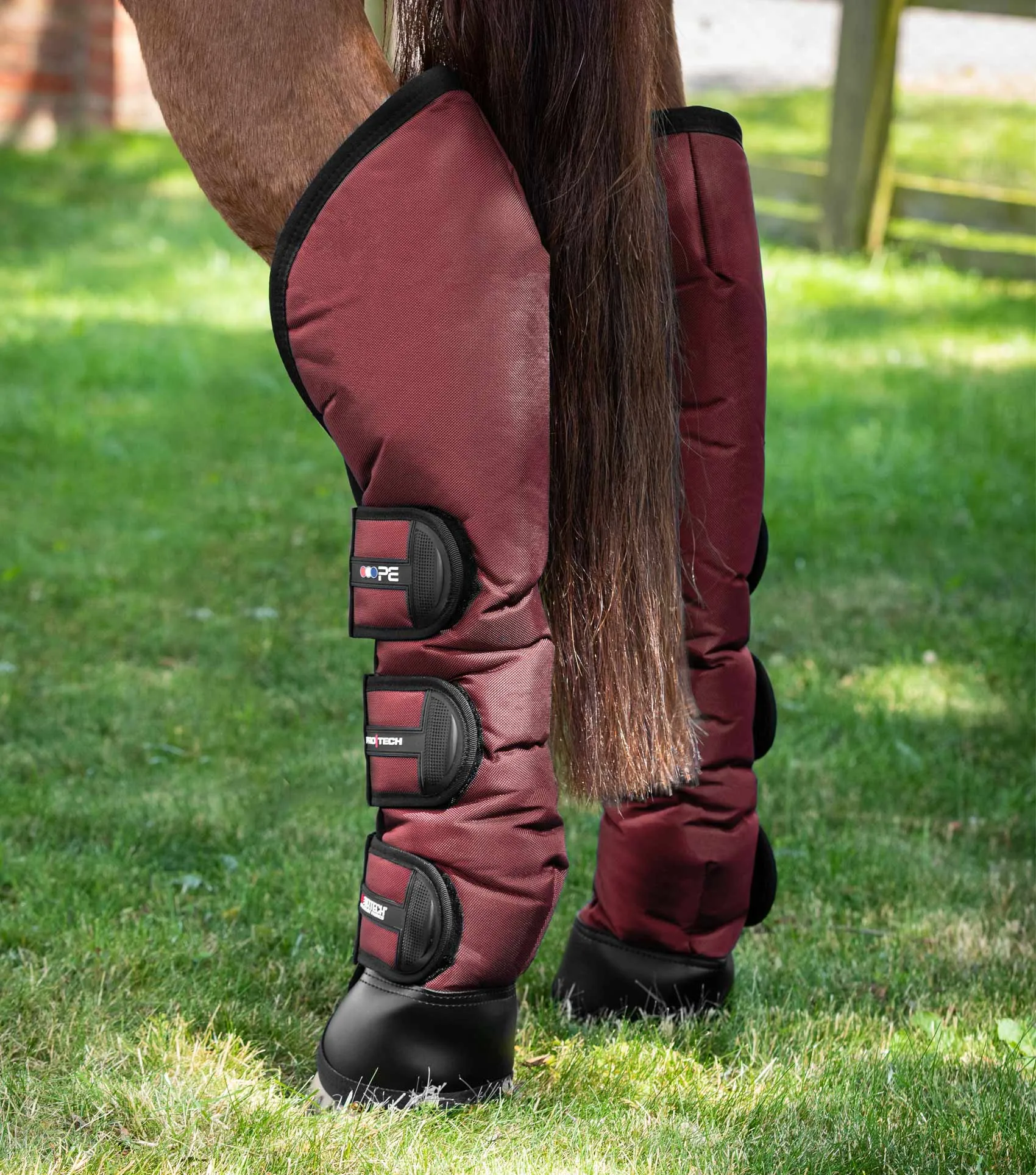 Ballistic Knee Pro-Tech Horse Travel Boots Burgundy