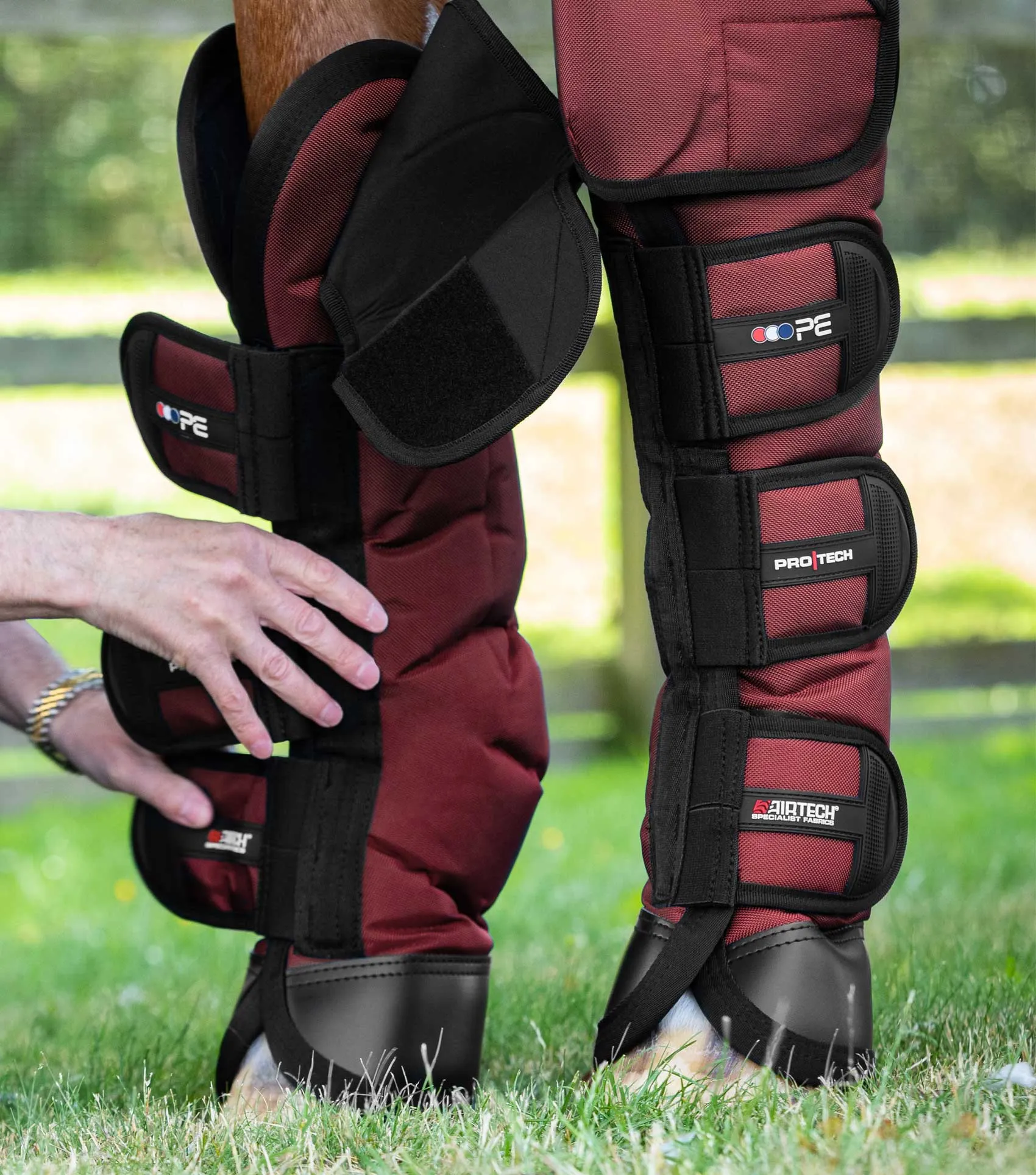 Ballistic Knee Pro-Tech Horse Travel Boots Burgundy