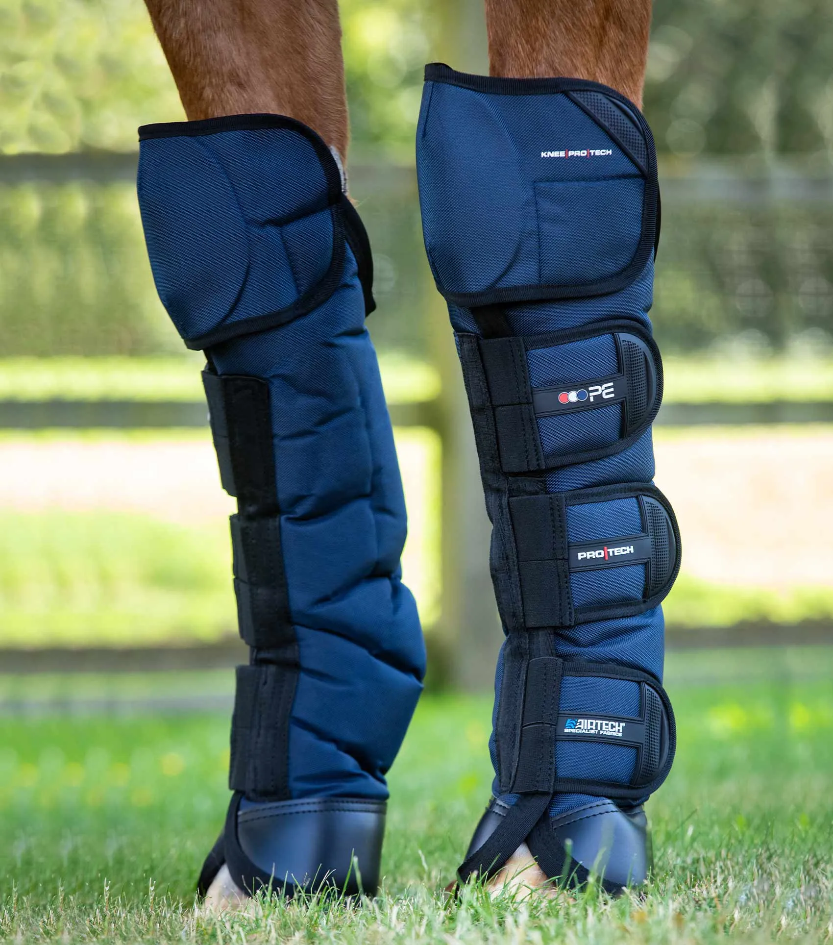 Ballistic Knee Pro-Tech Horse Travel Boots Navy