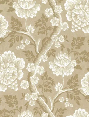 Little Greene Wallpaper Gustav - Mudan