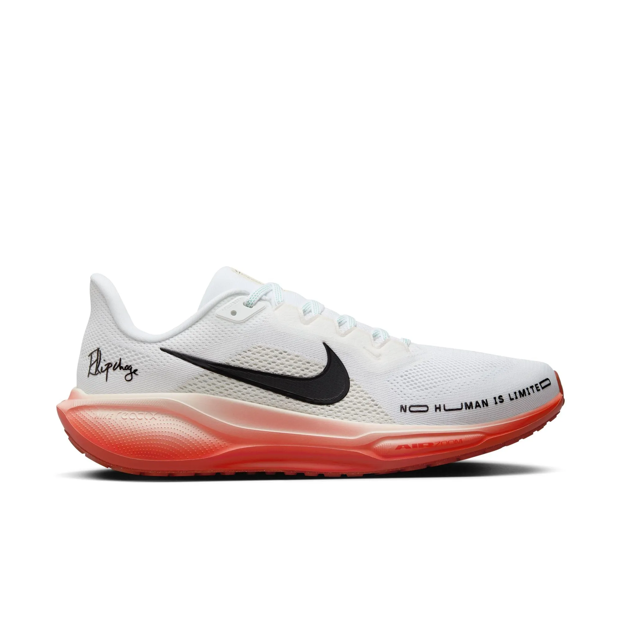 Pegasus 41 "Eliud Kipchoge" Men's Shoe