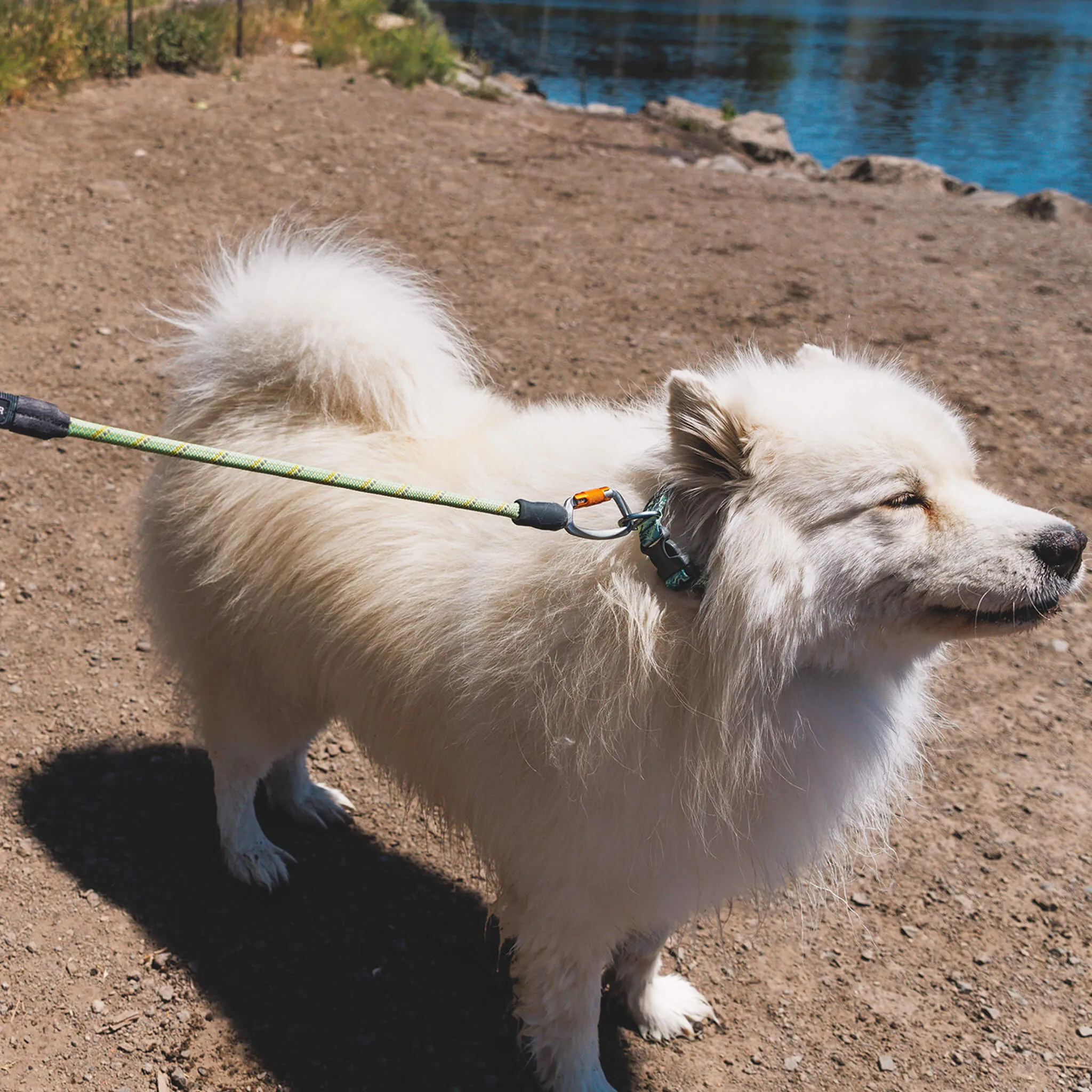 RuffWear Knot-a-Long Leash for Dogs