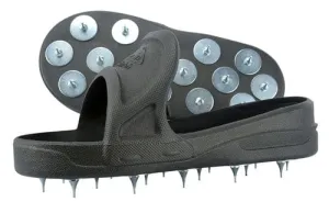 Shoe-In Spiked Shoes