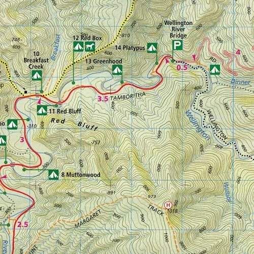 Spatial Vision Tali Karng - Moroka Map