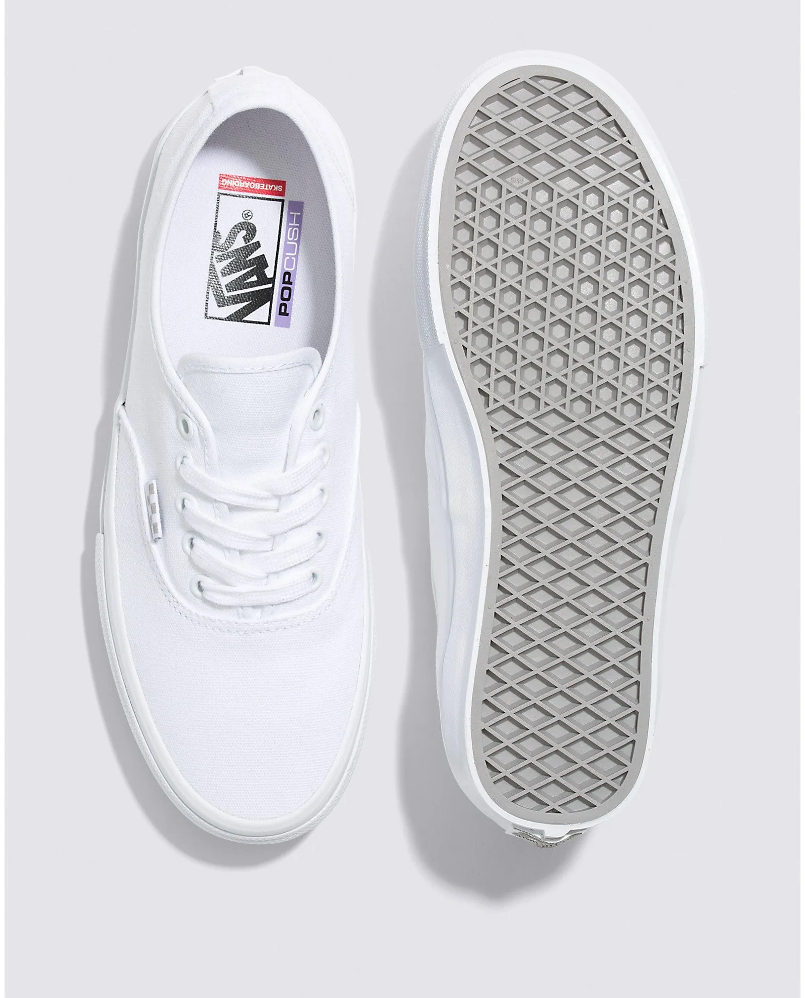 Vans Skate Authentic - True White